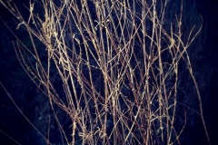 photo2