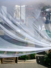 Photographie - Boris Dunand (www.borisdunand.ch)