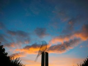 Photographie - Boris Dunand (www.borisdunand.ch)