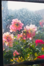 Photographie - Boris Dunand (www.borisdunand.ch)