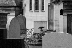 2019_09_boris-dunand_paris_belle-ile-en_mer-11