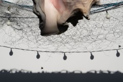 Photographie - Boris Dunand (www.borisdunand.ch)