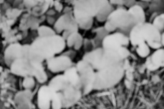 Photographie - Boris Dunand (www.borisdunand.ch)