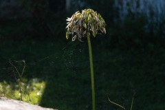 Photographie - Boris Dunand (www.borisdunand.ch)