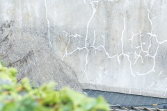 Photographie - Boris Dunand (www.borisdunand.ch)