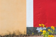 Photographie - Boris Dunand (www.borisdunand.ch)