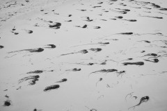 Photographie - Boris Dunand (www.borisdunand.ch)