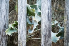 Photographie - Boris Dunand (www.borisdunand.ch)