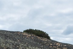 Photographie - Boris Dunand (www.borisdunand.ch)