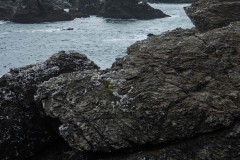 Photographie - Boris Dunand (www.borisdunand.ch)