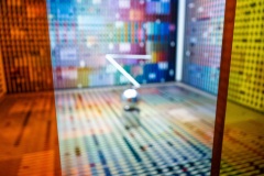 2019_09_boris-dunand_paris_belle-ile-en_mer-6