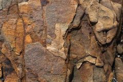 Photographie - Boris Dunand (www.borisdunand.ch)