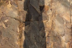 Photographie - Boris Dunand (www.borisdunand.ch)