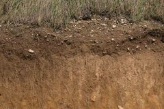 Photographie - Boris Dunand (www.borisdunand.ch)