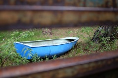 Photographie - Boris Dunand (www.borisdunand.ch)