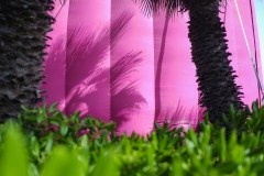 Photographie - Boris Dunand (www.borisdunand.ch)