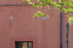 Photographie - Boris Dunand (www.borisdunand.ch)