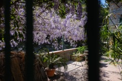 Photographie - Boris Dunand (www.borisdunand.ch)