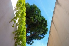 Photographie - Boris Dunand (www.borisdunand.ch)