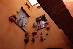 Photographie - Boris Dunand (www.borisdunand.ch)