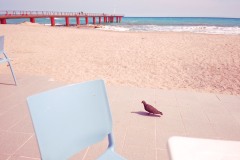 Photographie - Boris Dunand (www.borisdunand.ch)