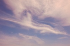 Photographie - Boris Dunand (www.borisdunand.ch)