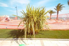 Photographie - Boris Dunand (www.borisdunand.ch)