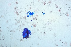 Photographie - Boris Dunand (www.borisdunand.ch)