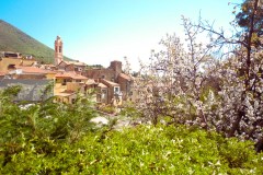 Photographie - Boris Dunand (www.borisdunand.ch)