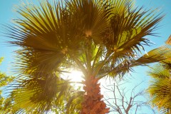 Photographie - Boris Dunand (www.borisdunand.ch)