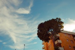 Photographie - Boris Dunand (www.borisdunand.ch)