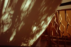 Photographie - Boris Dunand (www.borisdunand.ch)