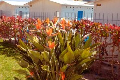 Photographie - Boris Dunand (www.borisdunand.ch)