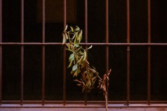 Photographie - Boris Dunand (www.borisdunand.ch)