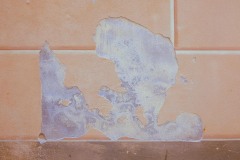 Photographie - Boris Dunand (www.borisdunand.ch)