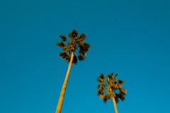 Photographie - Boris Dunand (www.borisdunand.ch)