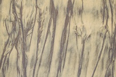 Photographie - Boris Dunand (www.borisdunand.ch)