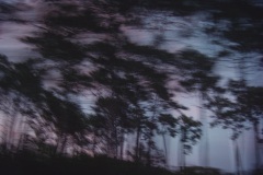 Photographie - Boris Dunand (www.borisdunand.ch)