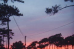 Photographie - Boris Dunand (www.borisdunand.ch)