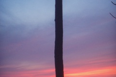 Photographie - Boris Dunand (www.borisdunand.ch)