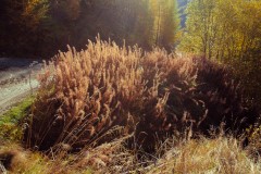 Photographie - Boris Dunand (www.borisdunand.ch)