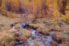 Photographie - Boris Dunand (www.borisdunand.ch)