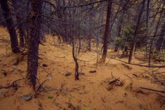 Photographie - Boris Dunand (www.borisdunand.ch)