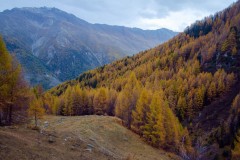 Photographie - Boris Dunand (www.borisdunand.ch)