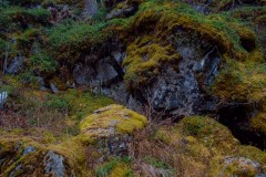 Photographie - Boris Dunand (www.borisdunand.ch)