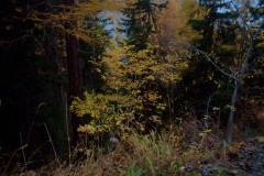 Photographie - Boris Dunand (www.borisdunand.ch)