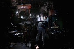 Askehoug-bars-en-fête-4