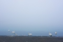 Photographie - Boris Dunand (www.borisdunand.ch)