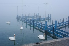 Photographie - Boris Dunand (www.borisdunand.ch)