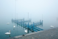 Photographie - Boris Dunand (www.borisdunand.ch)